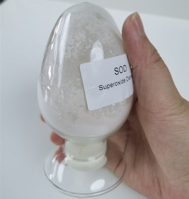Mn/Fe SOD Superoksida Dismutase Dalam Penyimpanan Suhu Normal 50000 iu/G