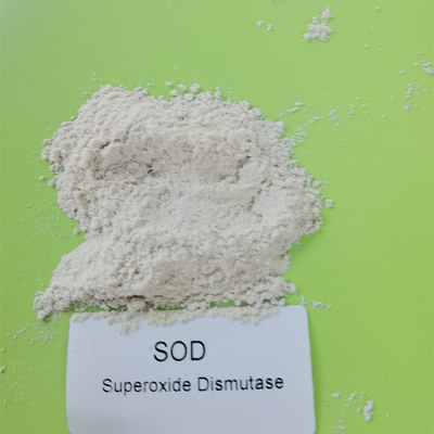 Kemurnian 99% Bahan Kosmetik SOD Superoxide Dismutase White Powder