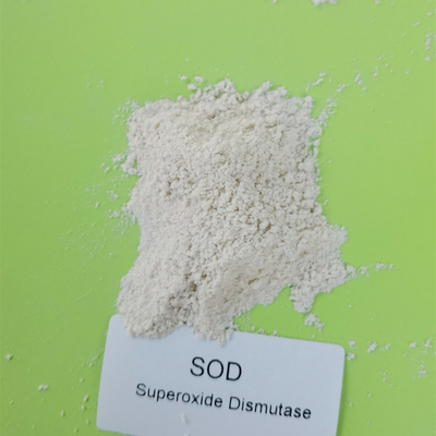 Fermentasi Mikroba SOD2 Mn / Fe Superoxide Dismutase Kelas Kosmetik