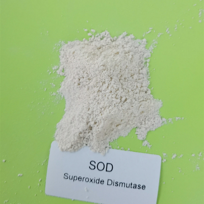 Fermentasi Mikroba SOD2 Mn / Fe Superoxide Dismutase Kelas Kosmetik