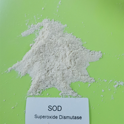 Lisensi Produksi Makanan SOD2 Superoxide Dismutase Dalam Perawatan Kulit 50000iu/G