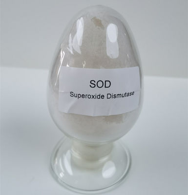 PH 4-11 Superoksida Dismutase SOD Powder 50000iu/g