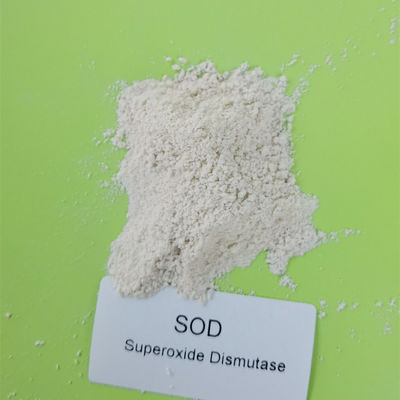 500000iu / g 99% SOD Superoxide Dismutase Bahan Baku Kosmetik