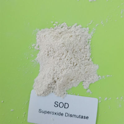 Food Grade 50000iu / g Superoxide Dismutase Dalam Perawatan Kulit 9054-89-1