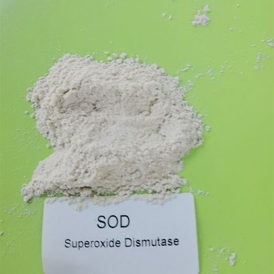 99% CAS 9054-89-1 Superoksida Dismutase Dalam Kosmetik
