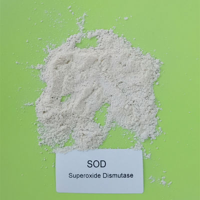 Kemurnian Tinggi SOD Superoxide Dismutase CAS 9054 89 1