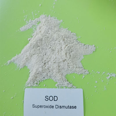 CAS 9054-89-1 50000iu/g Superoksida Dismutase Anti Penuaan