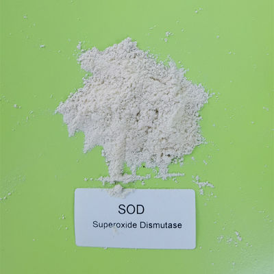 Bubuk Putih Food Grade 99% Superoxide Dismutase Untuk Kulit