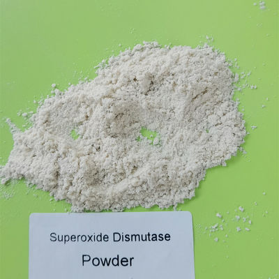 Food Grade Bahan Baku Superoxide Dismutase Powder PH 4-11