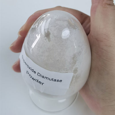 Pemutih Anti Kerut 50000iu/g Superoxide Dismutase Powder