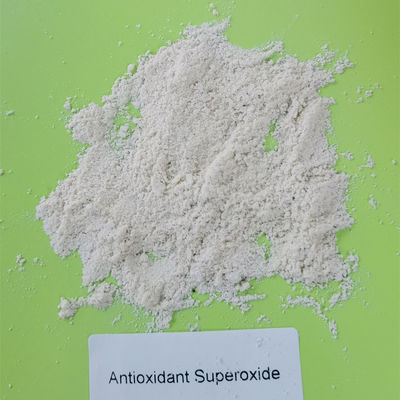 99% Superoxide Dismutase SOD Dalam Makanan Antioksidan Alami