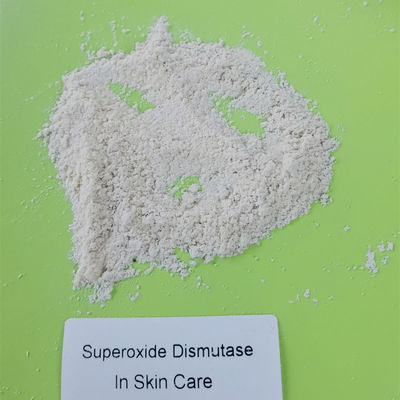 Food Grade Superoxide Dismutase SOD Anti Penuaan